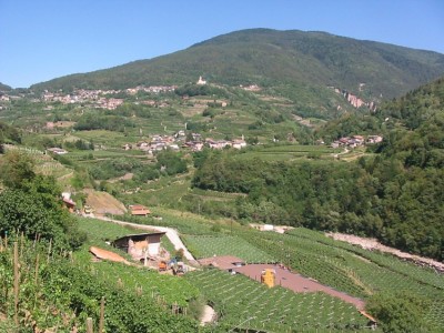 typisch Trentino